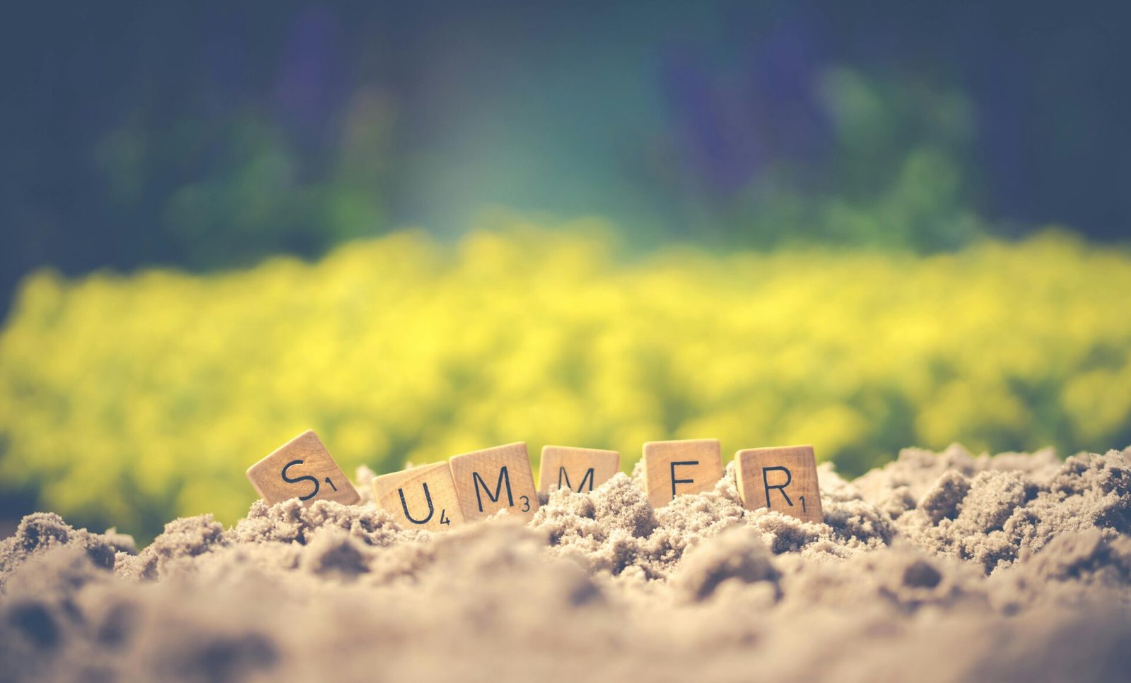 Summer Camps, Northern Ireland! The Great Summer Unplug.